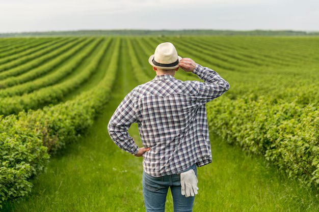 Curso gratuito de Agropecuária