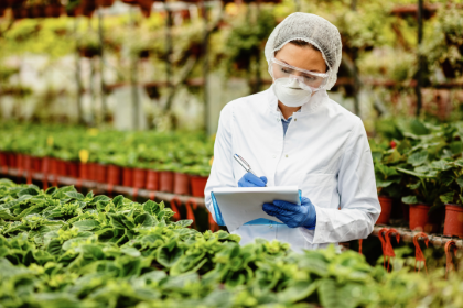 Curso gratuito de Segurança Alimentar